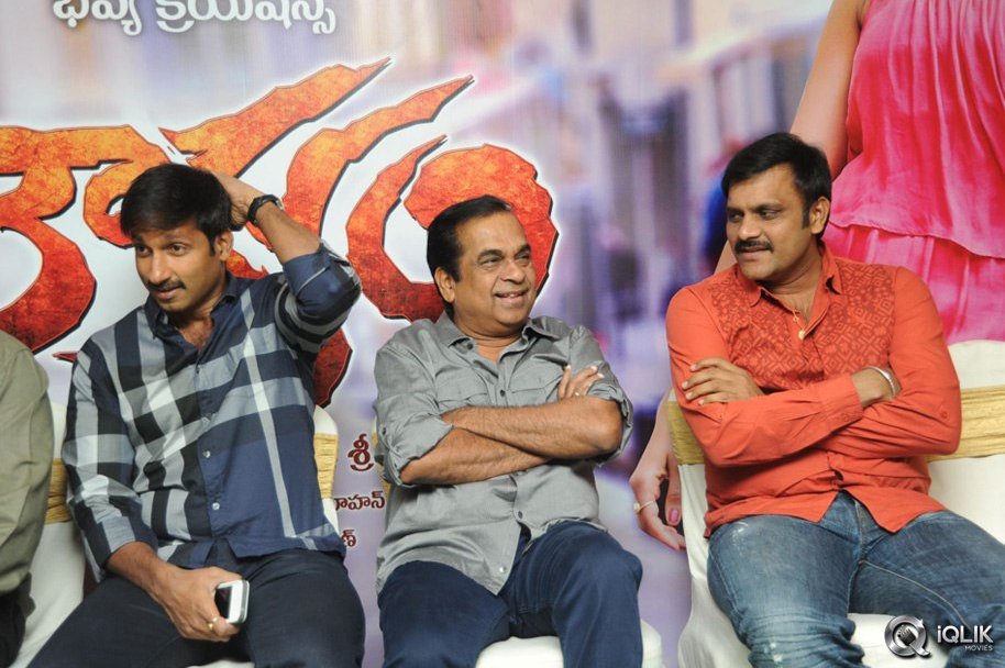 Loukyam-Movie-Platinum-Disc-Function